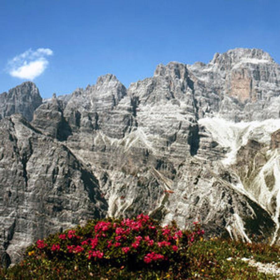 Residence Rio Piccolo Molveno Exterior photo